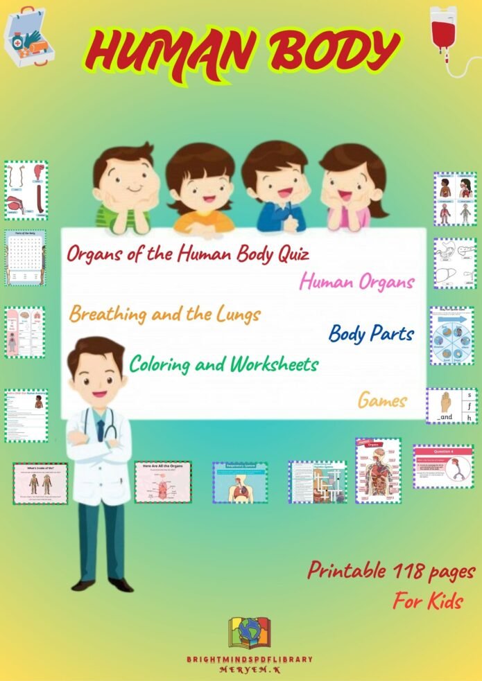 The Human body